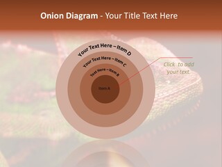 Effect Color Macro PowerPoint Template