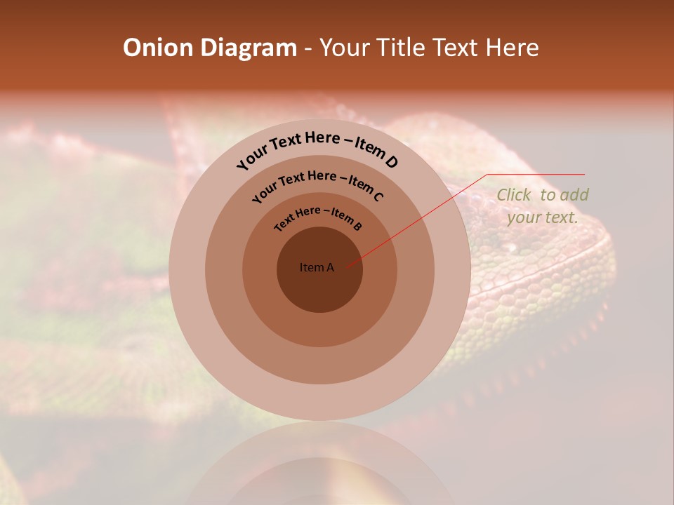 Effect Color Macro PowerPoint Template