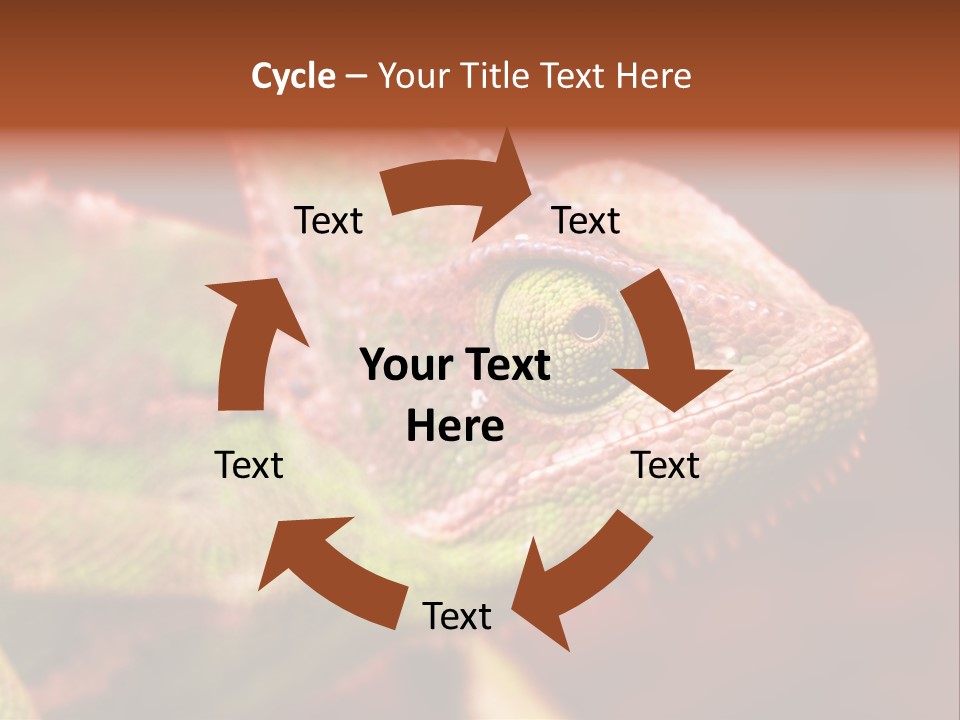 Effect Color Macro PowerPoint Template