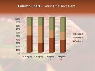 Effect Color Macro PowerPoint Template
