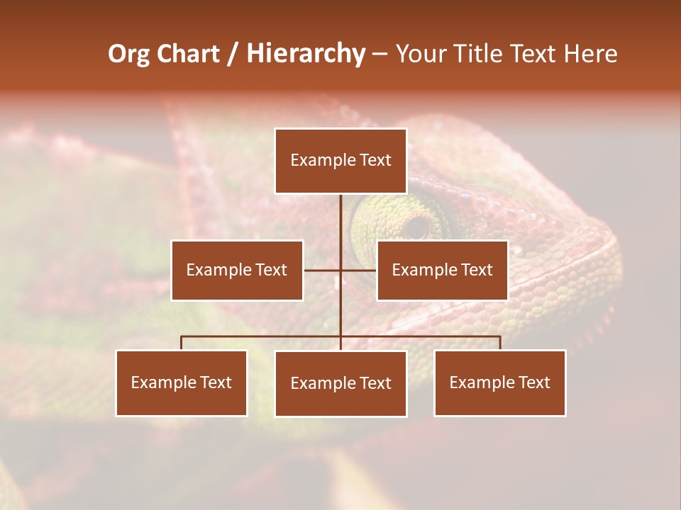 Effect Color Macro PowerPoint Template