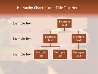Effect Color Macro PowerPoint Template