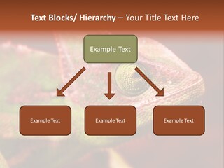 Effect Color Macro PowerPoint Template