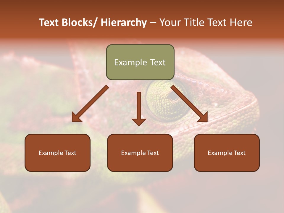 Effect Color Macro PowerPoint Template