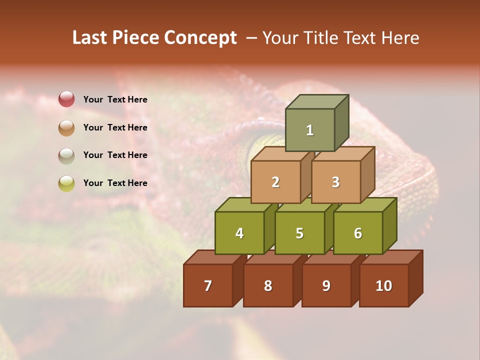 Effect Color Macro PowerPoint Template