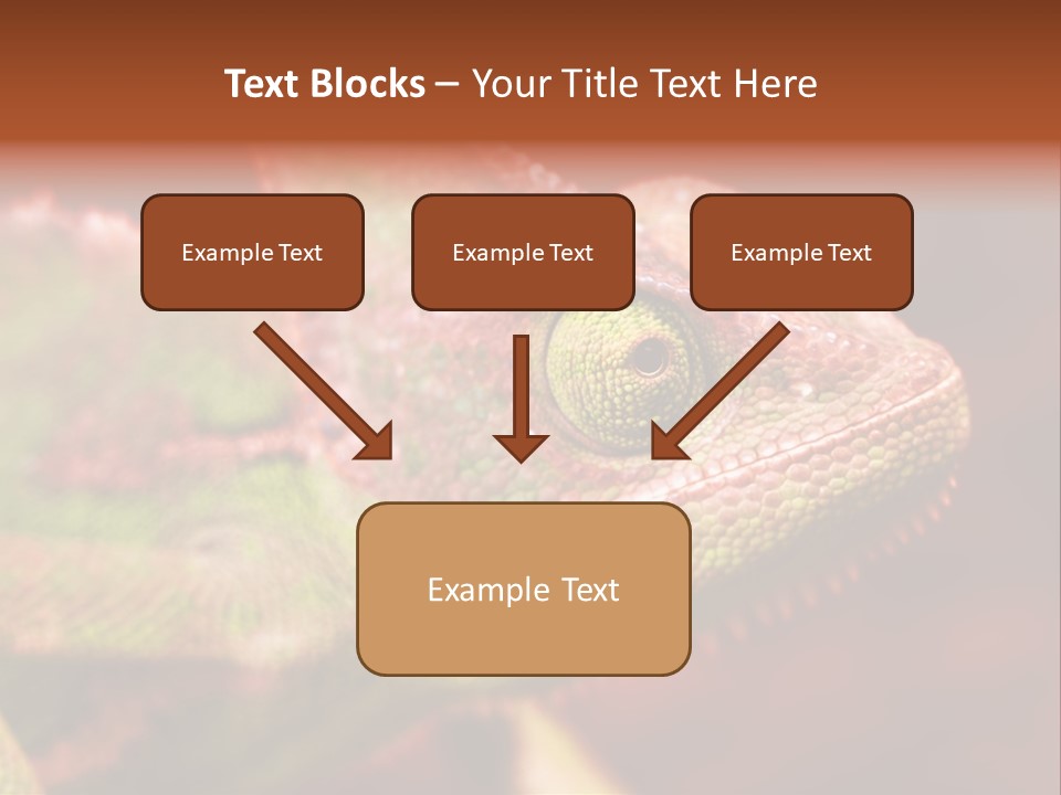 Effect Color Macro PowerPoint Template
