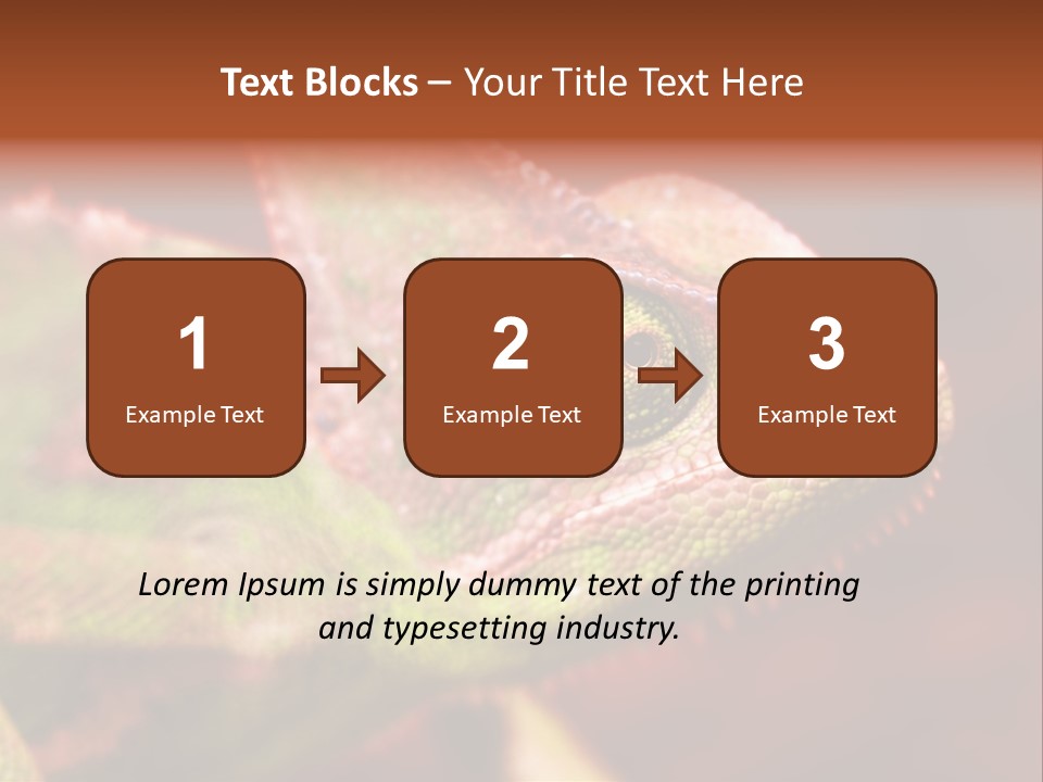 Effect Color Macro PowerPoint Template