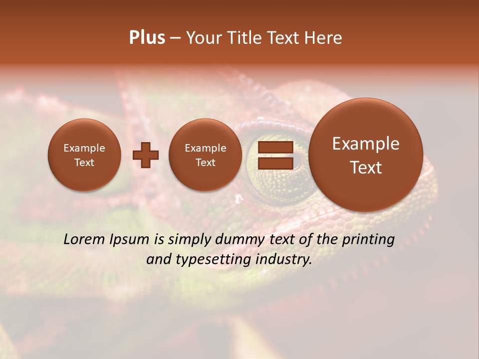 Effect Color Macro PowerPoint Template