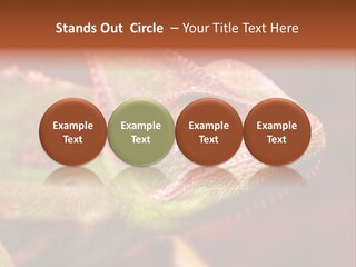 Effect Color Macro PowerPoint Template