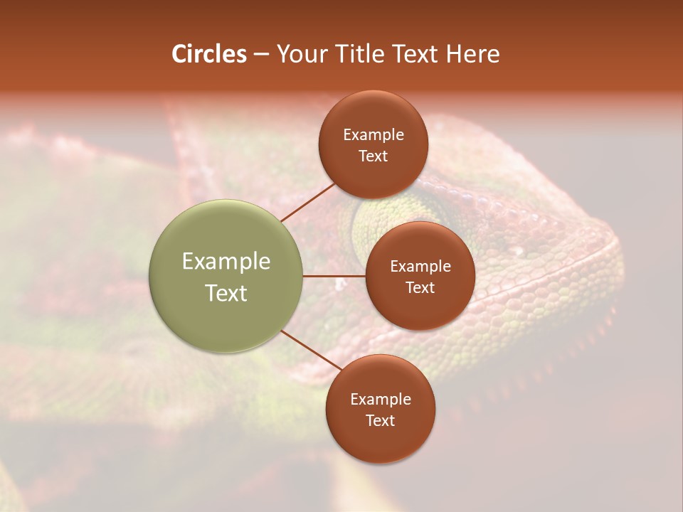 Effect Color Macro PowerPoint Template