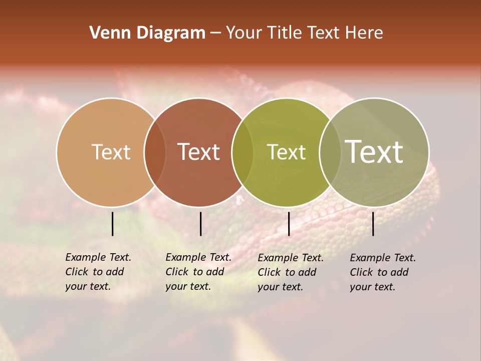 Effect Color Macro PowerPoint Template