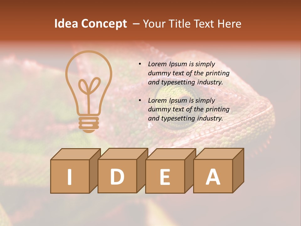 Effect Color Macro PowerPoint Template