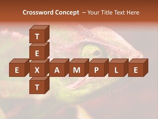 Effect Color Macro PowerPoint Template