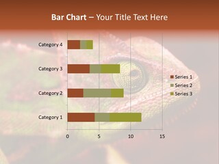 Effect Color Macro PowerPoint Template