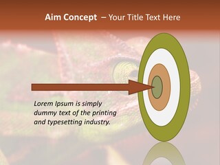 Effect Color Macro PowerPoint Template
