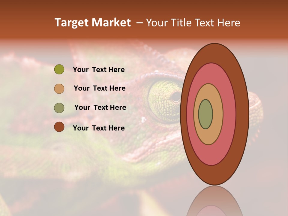 Effect Color Macro PowerPoint Template