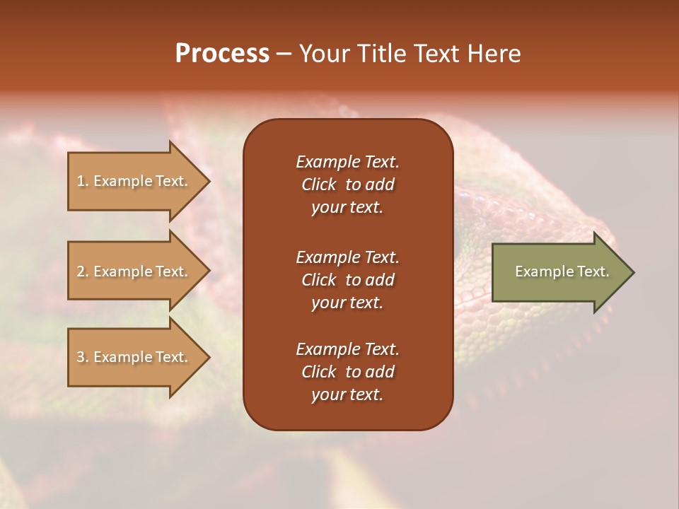 Effect Color Macro PowerPoint Template