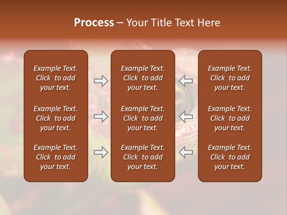 Effect Color Macro PowerPoint Template