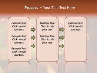 Effect Color Macro PowerPoint Template