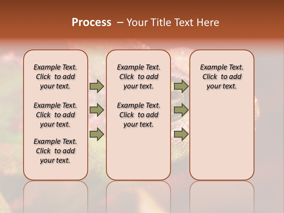 Effect Color Macro PowerPoint Template