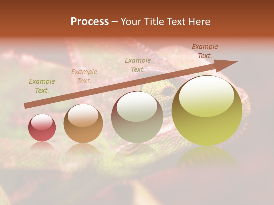 Effect Color Macro PowerPoint Template