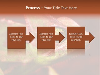 Effect Color Macro PowerPoint Template
