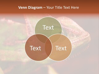 Effect Color Macro PowerPoint Template