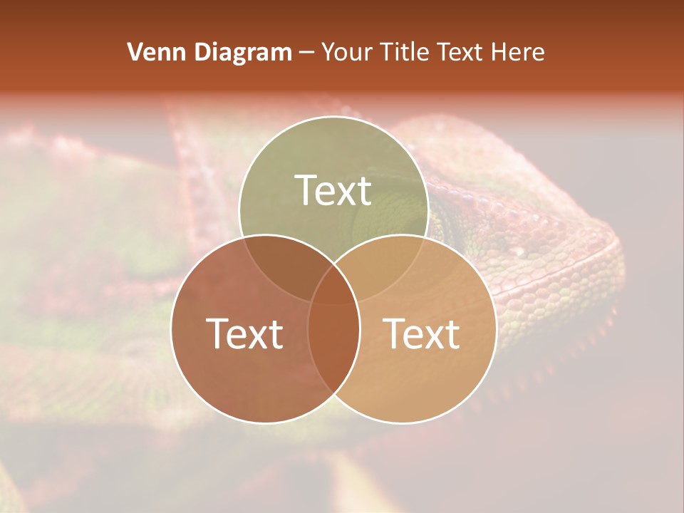 Effect Color Macro PowerPoint Template