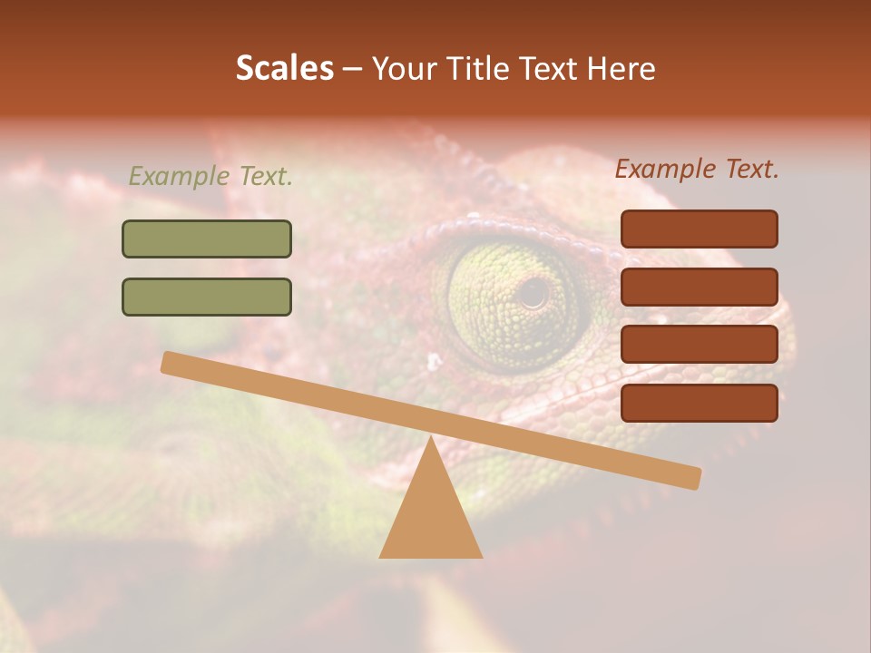 Effect Color Macro PowerPoint Template