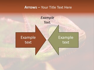 Effect Color Macro PowerPoint Template