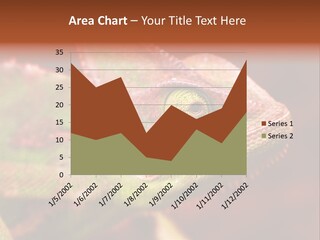 Effect Color Macro PowerPoint Template