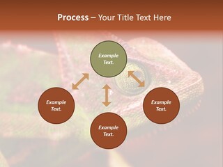 Effect Color Macro PowerPoint Template