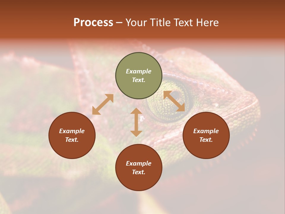 Effect Color Macro PowerPoint Template