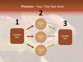 Effect Color Macro PowerPoint Template