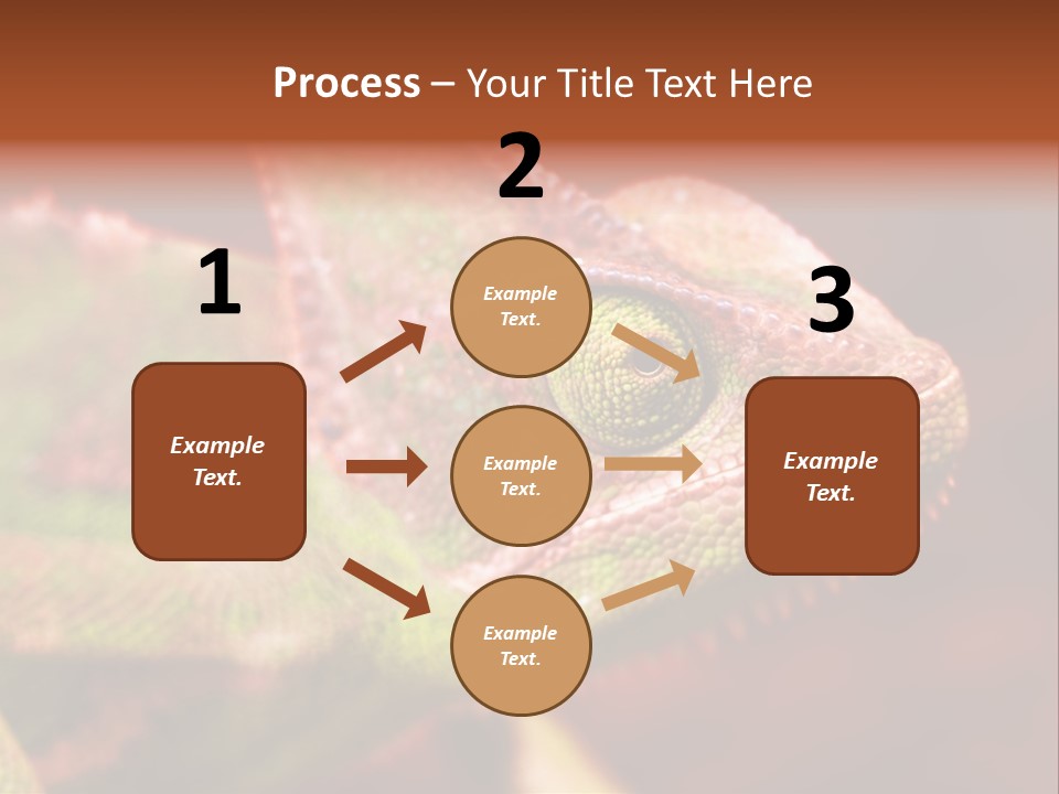 Effect Color Macro PowerPoint Template