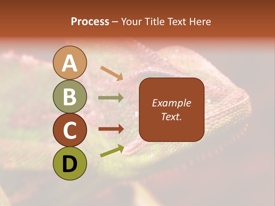 Effect Color Macro PowerPoint Template