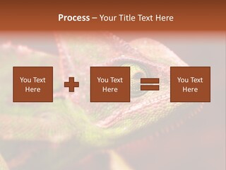 Effect Color Macro PowerPoint Template