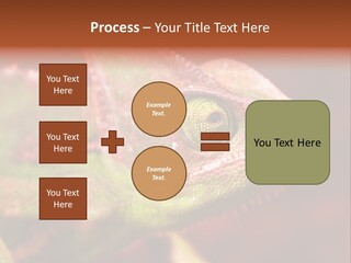 Effect Color Macro PowerPoint Template