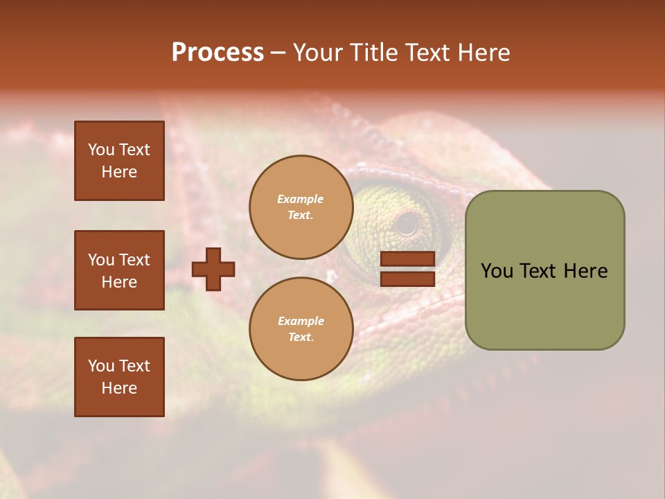 Effect Color Macro PowerPoint Template