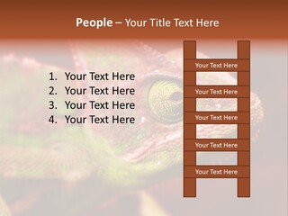 Effect Color Macro PowerPoint Template