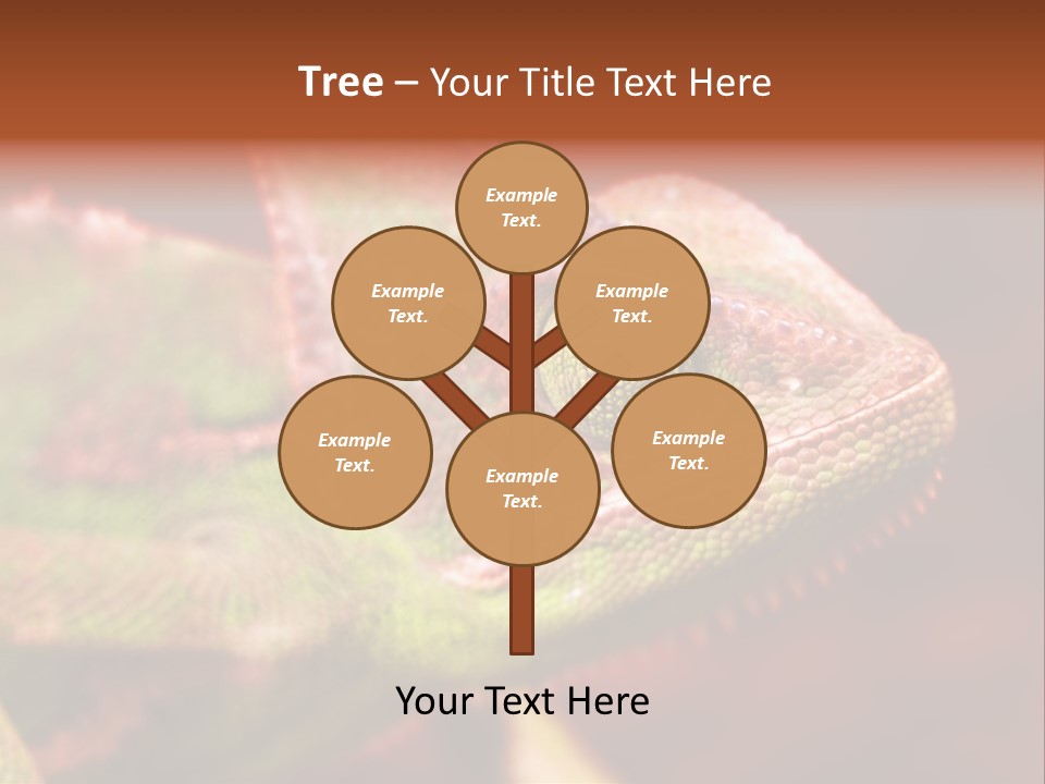 Effect Color Macro PowerPoint Template