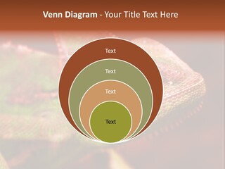 Effect Color Macro PowerPoint Template