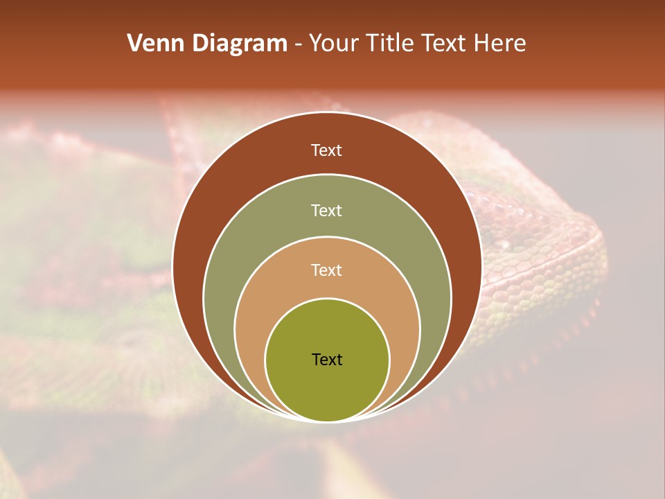 Effect Color Macro PowerPoint Template