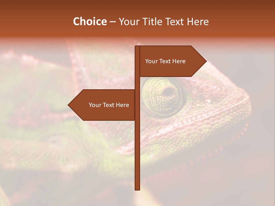 Effect Color Macro PowerPoint Template
