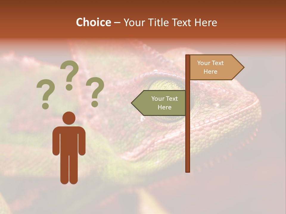 Effect Color Macro PowerPoint Template