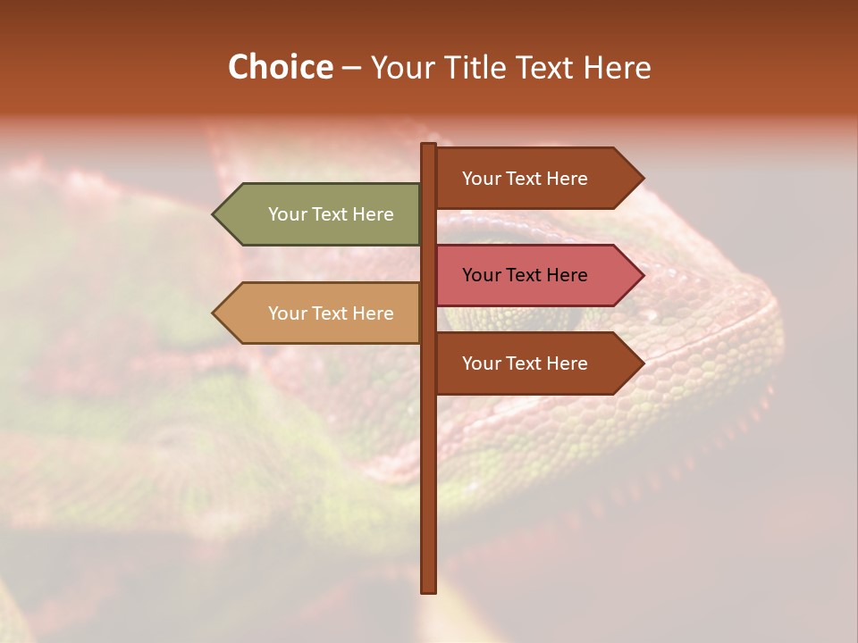 Effect Color Macro PowerPoint Template