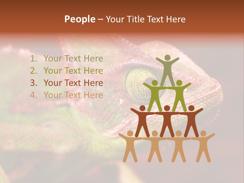 Effect Color Macro PowerPoint Template