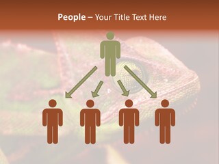 Effect Color Macro PowerPoint Template