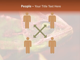 Effect Color Macro PowerPoint Template