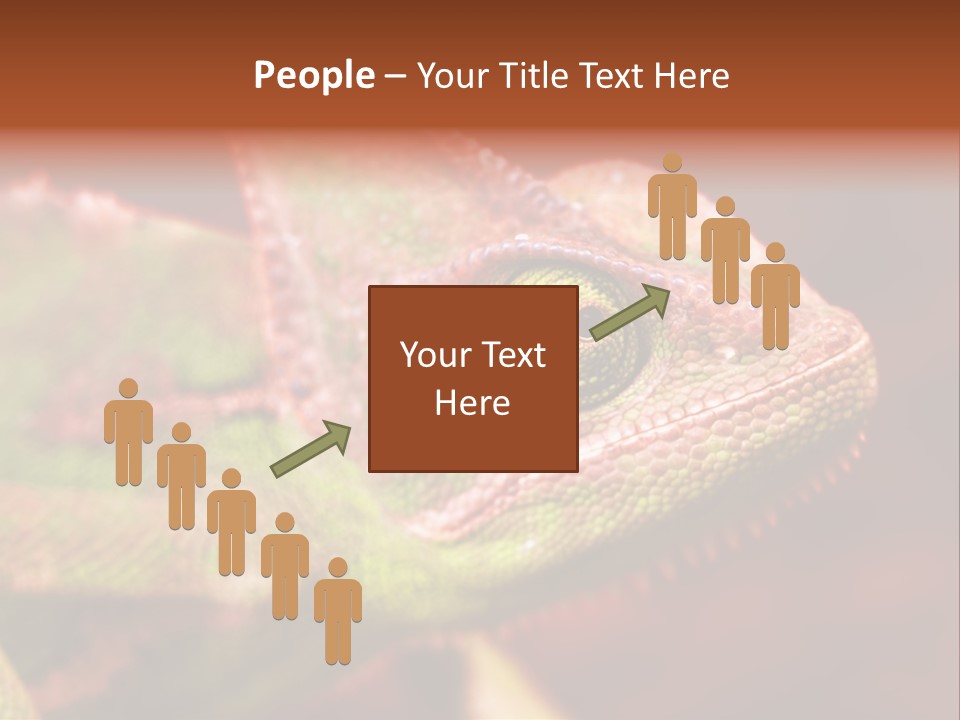 Effect Color Macro PowerPoint Template